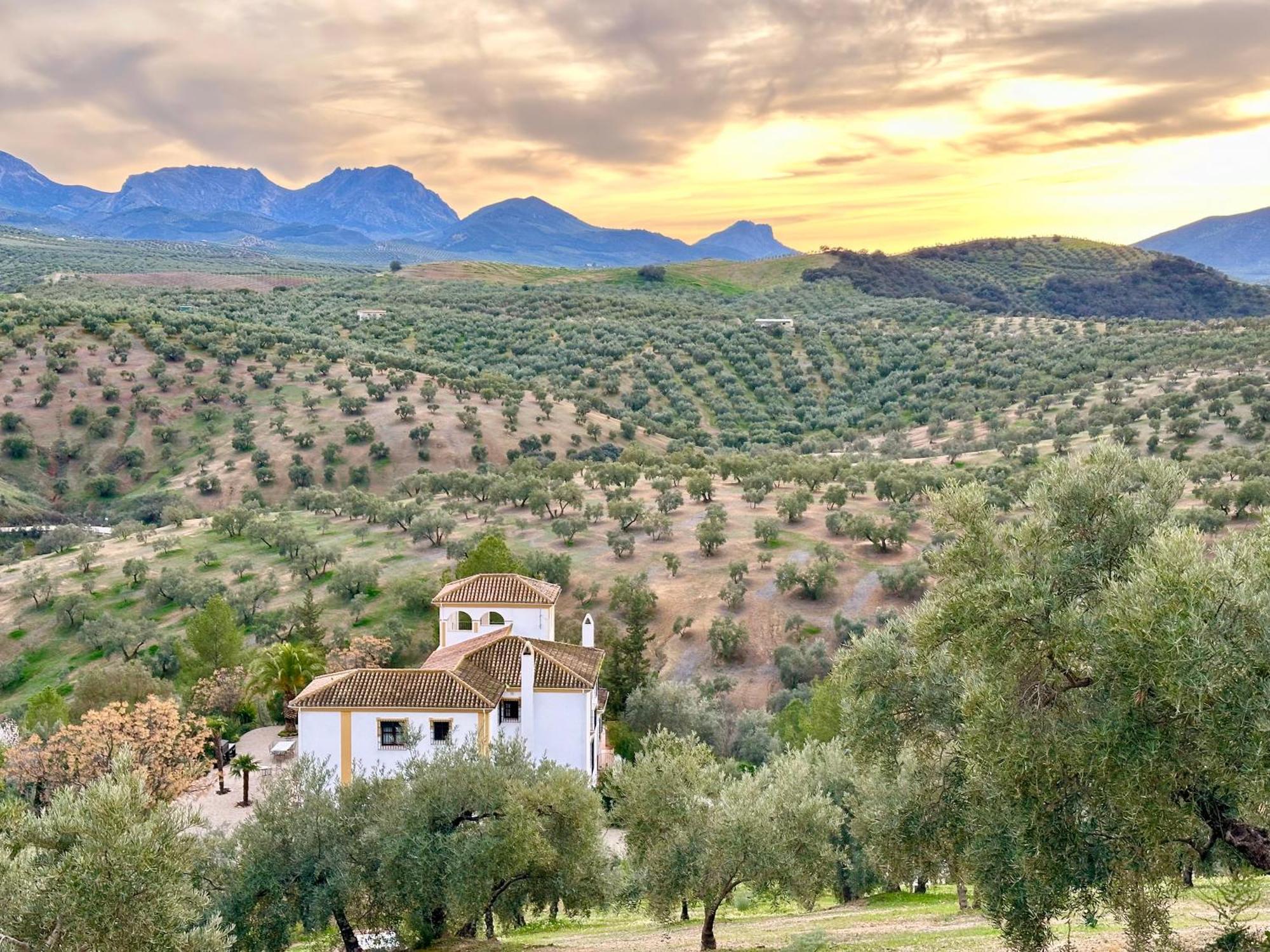 Hotel Hacienda El Tarajal Priego de Córdoba Esterno foto