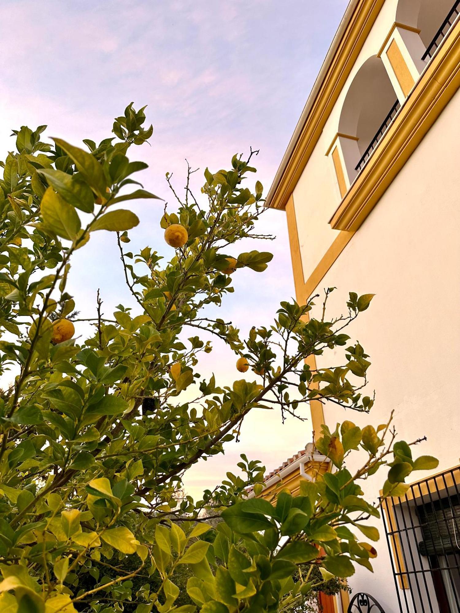 Hotel Hacienda El Tarajal Priego de Córdoba Esterno foto