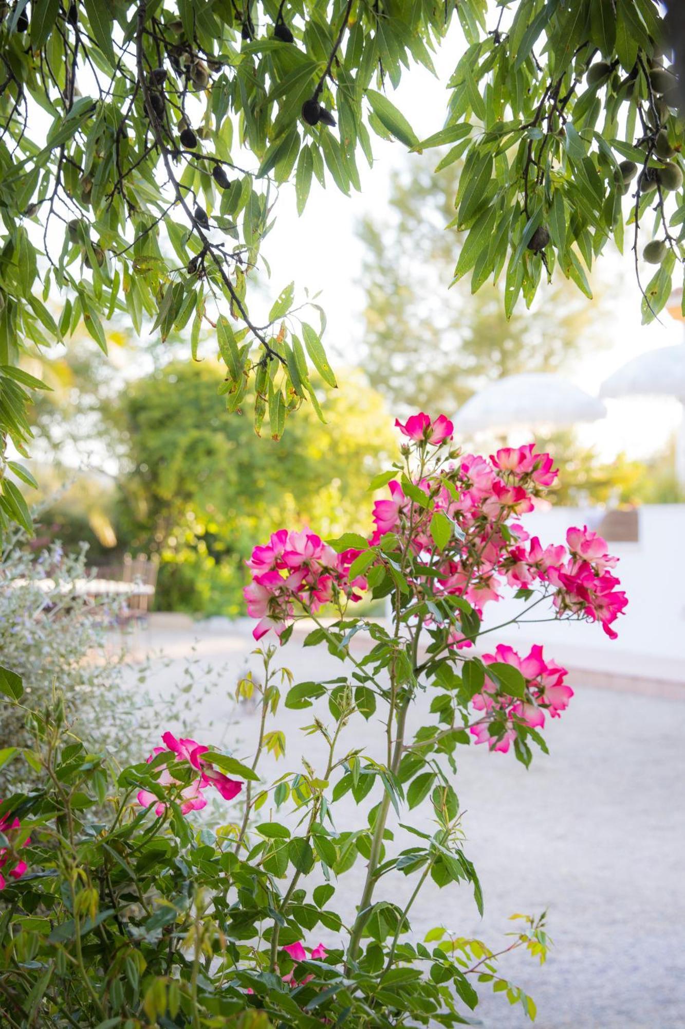 Hotel Hacienda El Tarajal Priego de Córdoba Esterno foto